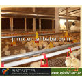 hottest sale broiler and breeder use chicken poultry shed